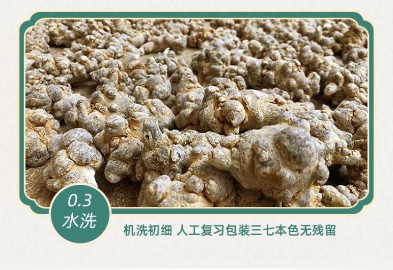 文山三七产地批发20头30头40头各规格齐全产地最新价格