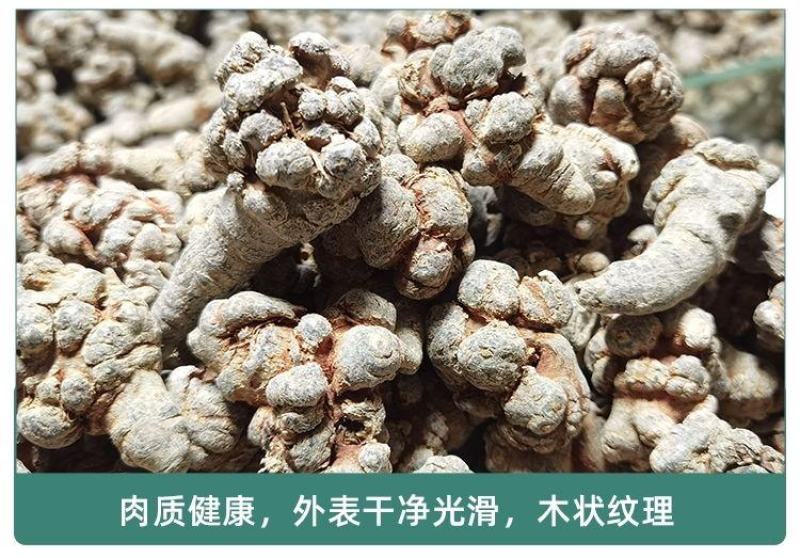 文山三七产地批发20头30头40头各规格齐全产地最新价格