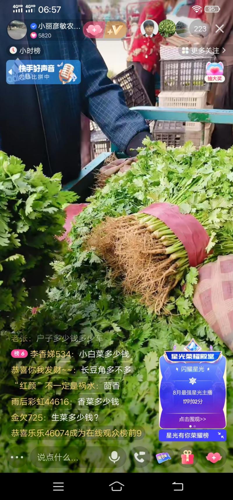 河北邯郸精品香菜大量有货，基地直发，一手货源，欢迎咨询选