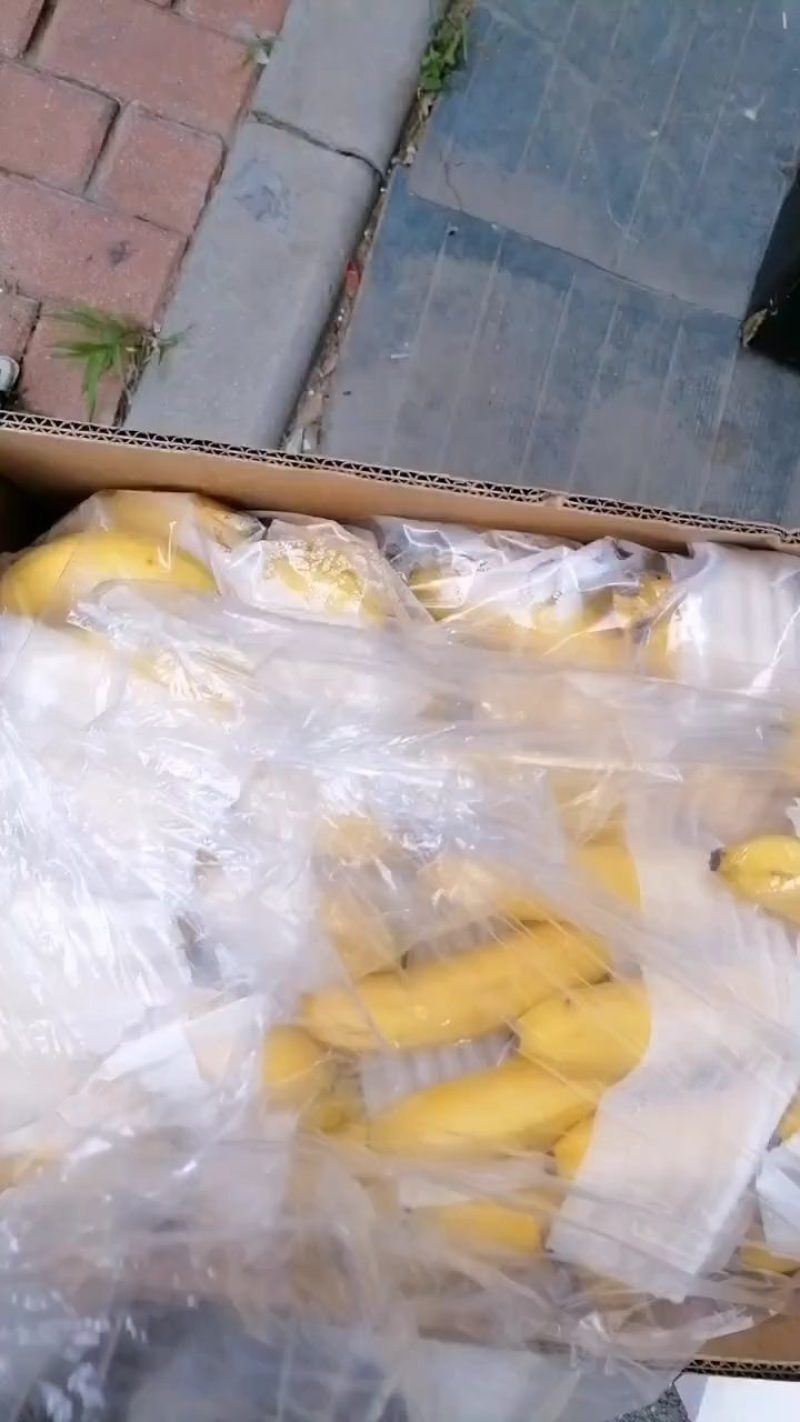 香蕉一手货源产地直发质量保证价格便宜可发全国有需要的联系