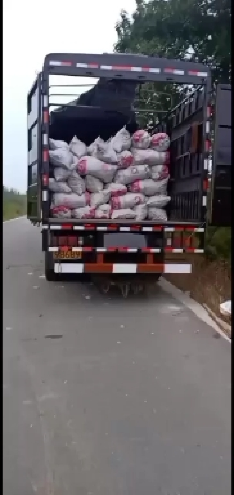 2025年洋姜大量供应，白洋姜，红洋姜都有。量大从优