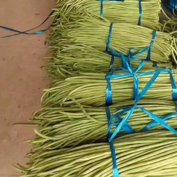 精品青条豆角无虫眼，颜色靓