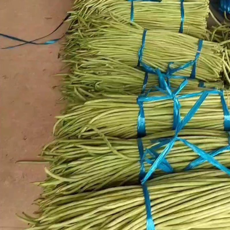 精品青条豆角无虫眼，颜色靓