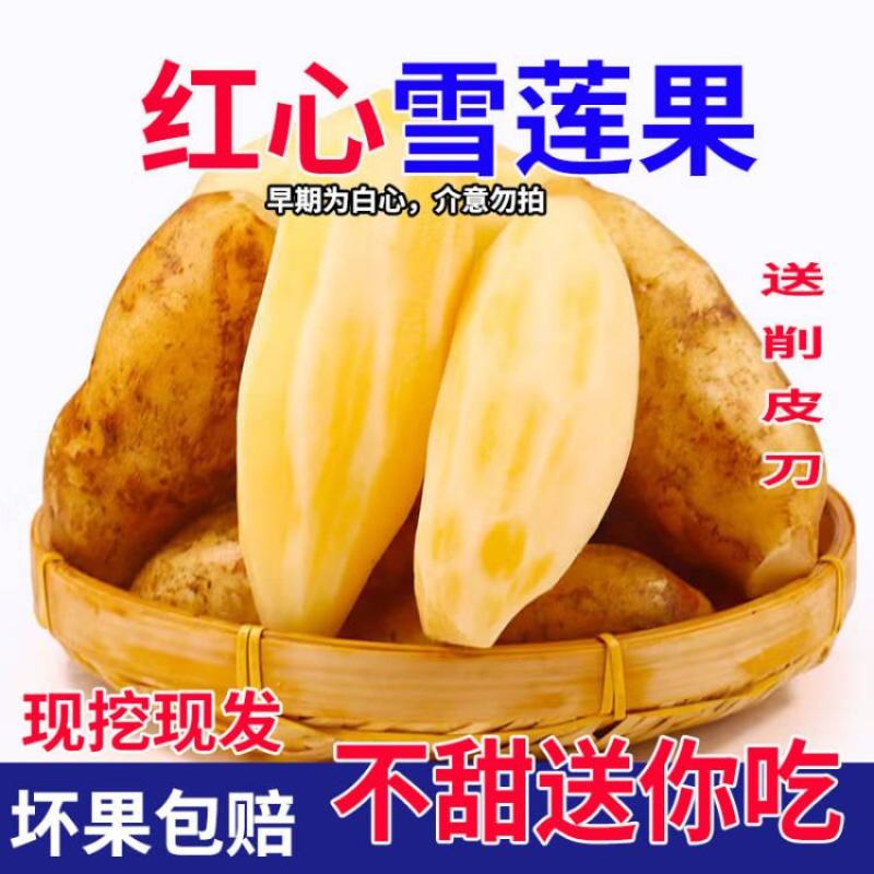 云南天山红心雪莲果支持电商拼多多淘宝天猫抖音快手一件代发