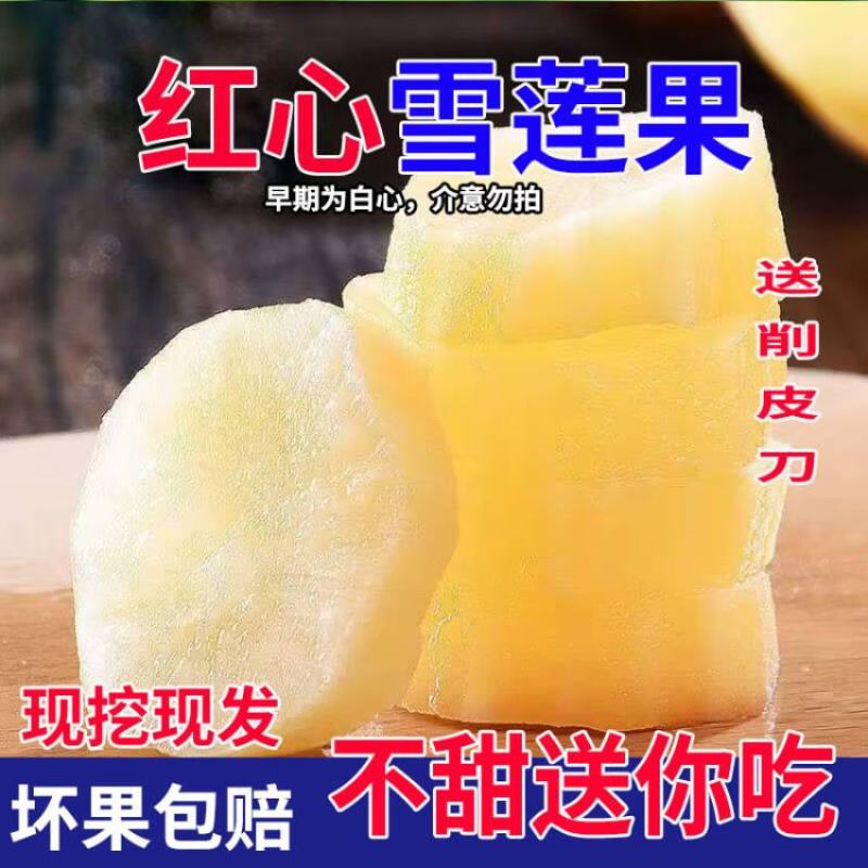云南天山红心雪莲果支持电商拼多多淘宝天猫抖音快手一件代发