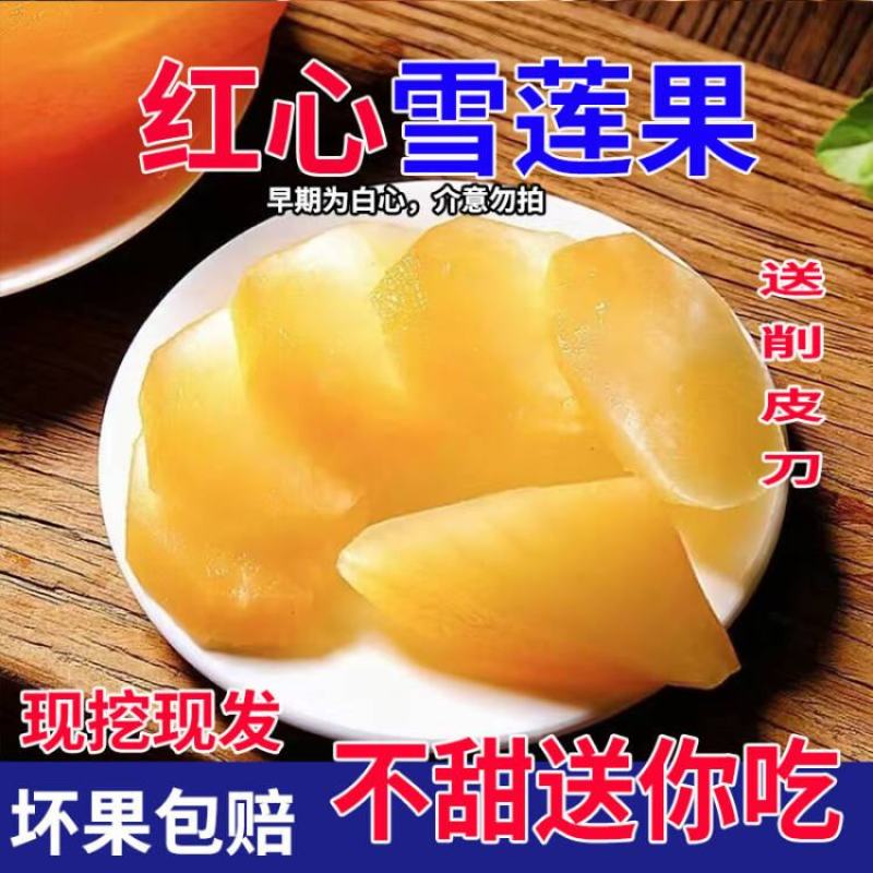 云南天山红心雪莲果支持电商拼多多淘宝天猫抖音快手一件代发