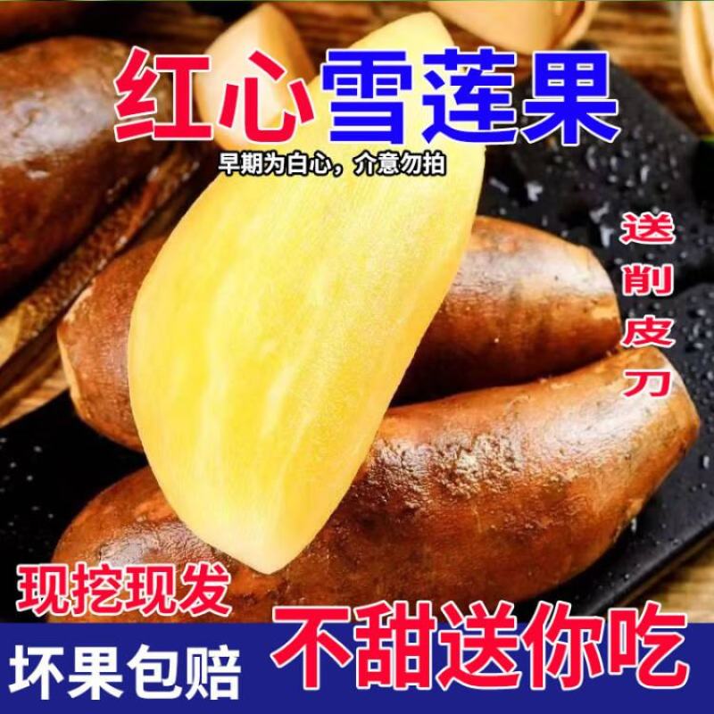 云南天山红心雪莲果支持电商拼多多淘宝天猫抖音快手一件代发