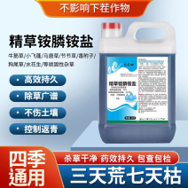 10斤精草铵膦铵盐果园荒地牛筋草小飞蓬专用杀草剂