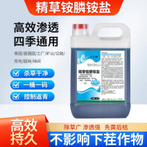 10斤精草铵膦铵盐除草剂果园荒地牛筋草小飞蓬专用杀草剂