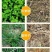 10斤精草铵膦铵盐除草剂果园荒地牛筋草小飞蓬专用杀草剂