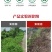 10斤精草铵膦铵盐除草剂果园荒地牛筋草小飞蓬专用杀草剂