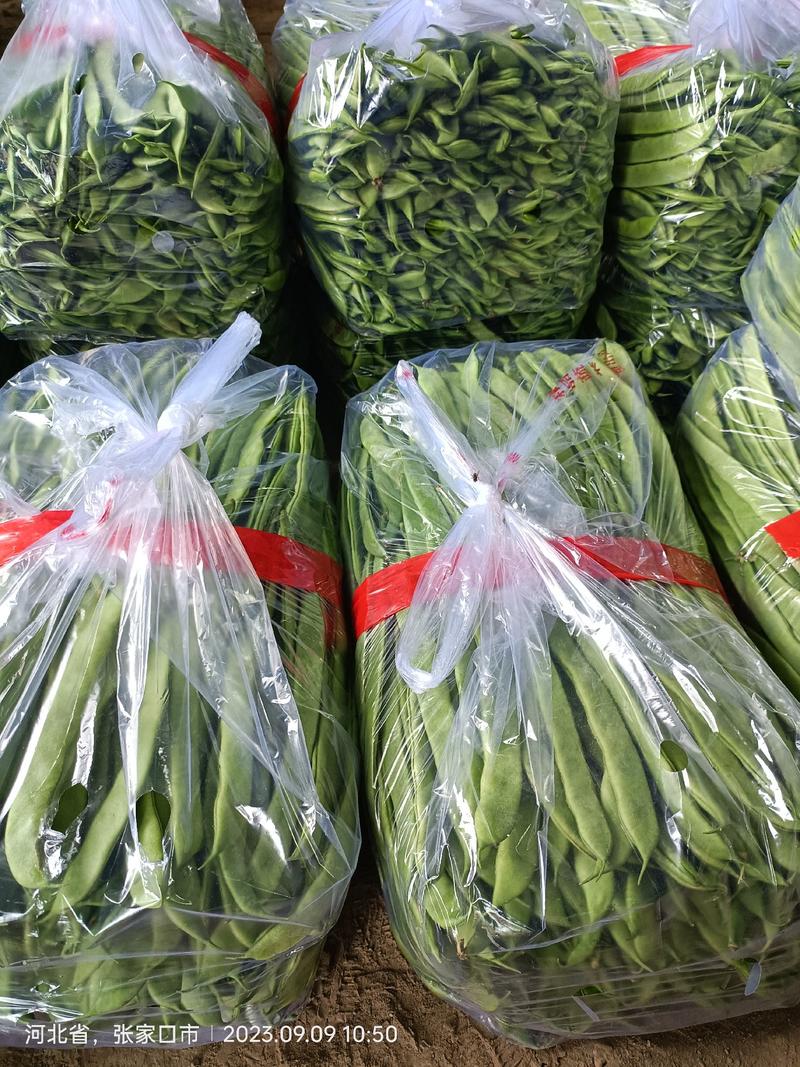 精选绿扁豆20斤包