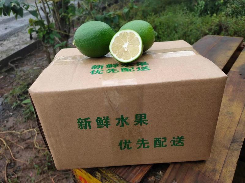 【精选柠檬】青柠檬安岳青柠檬产地直供量大从优电联优惠