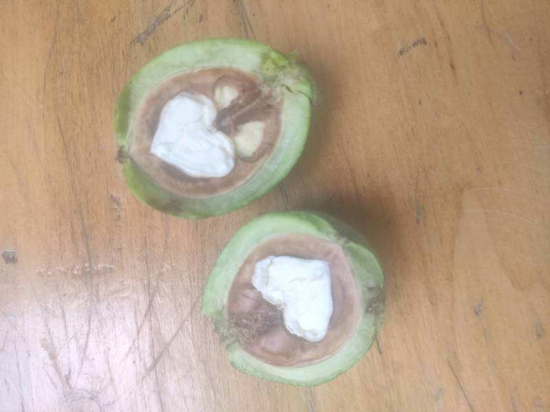 山西青皮核桃上市