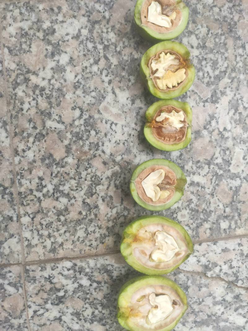 山西青皮核桃上市