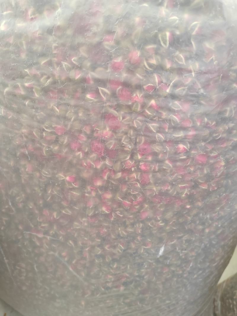 玫瑰花，1斤包邮