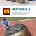 包邮特大号树脂花盆加厚塑料铁树盆景果树阳台庭院养鱼荷花盆