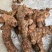 黄皮白肉粉质不变色，土茯苓，广西本地野生货