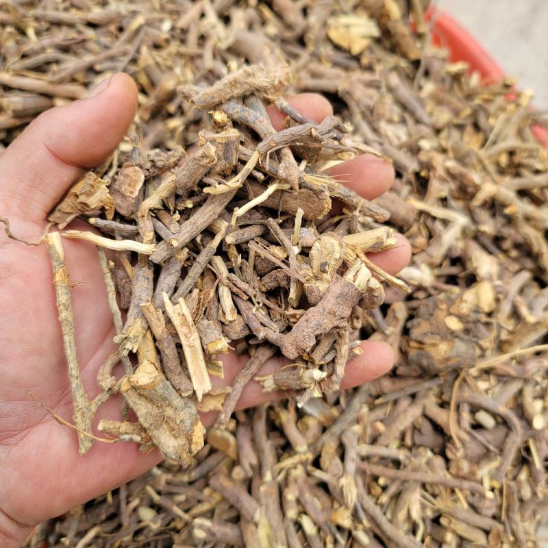 羊耳菊根，毛将军根（山白芷）根部，产地批发直销