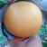 秋月梨！黄金梨！！！！！！！！！！！！！！！！！！！！！
