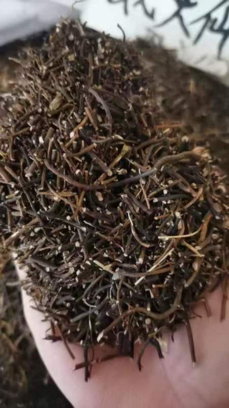 威灵仙叶子杆子藤条根茎个子鲜货干货山辣椒