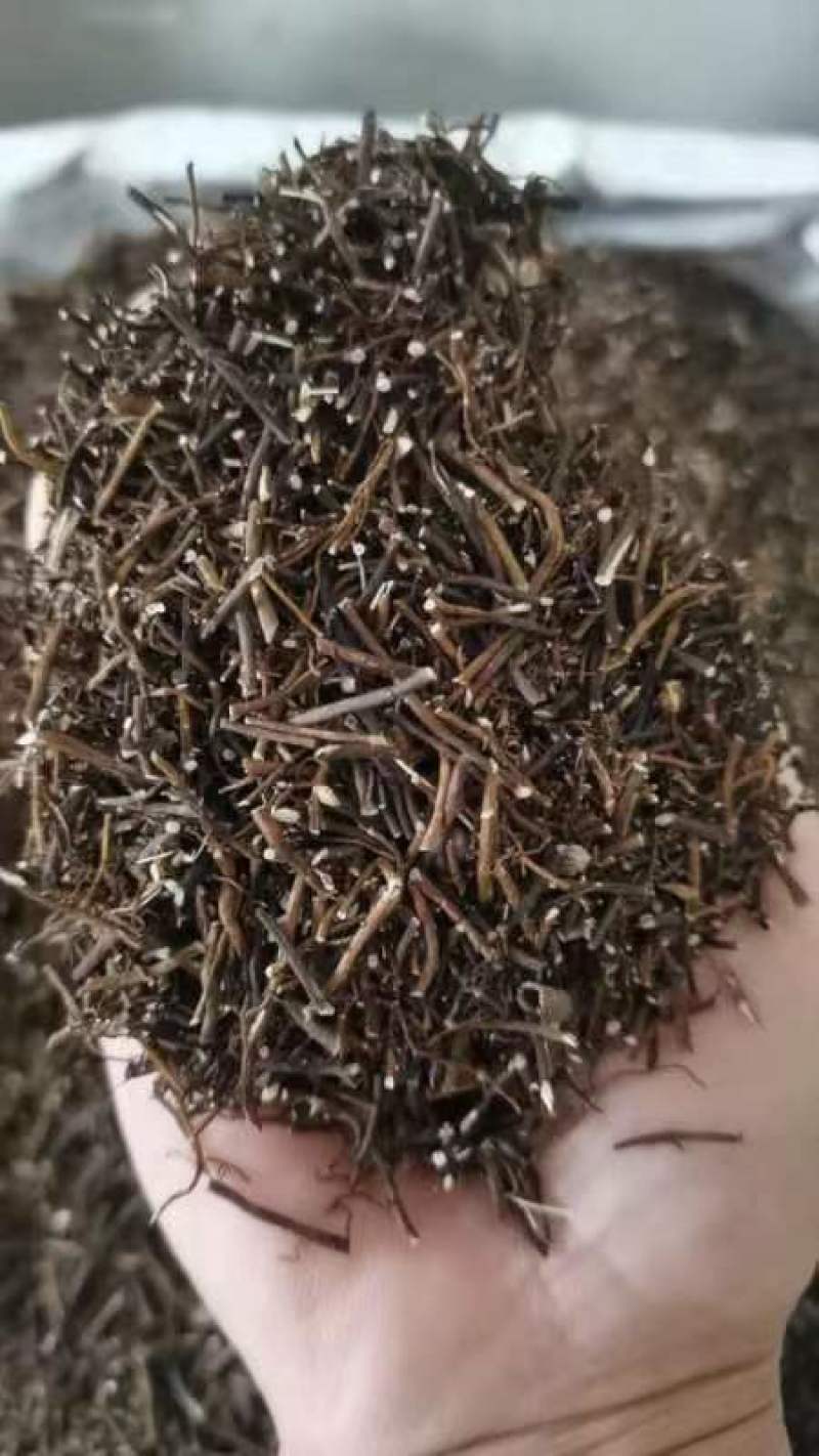威灵仙叶子杆子藤条根茎个子鲜货干货山辣椒