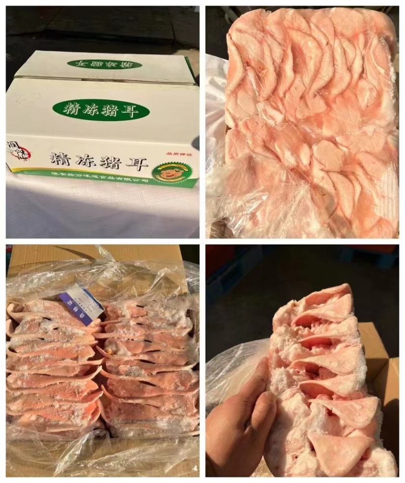 猪副产品厂家直销