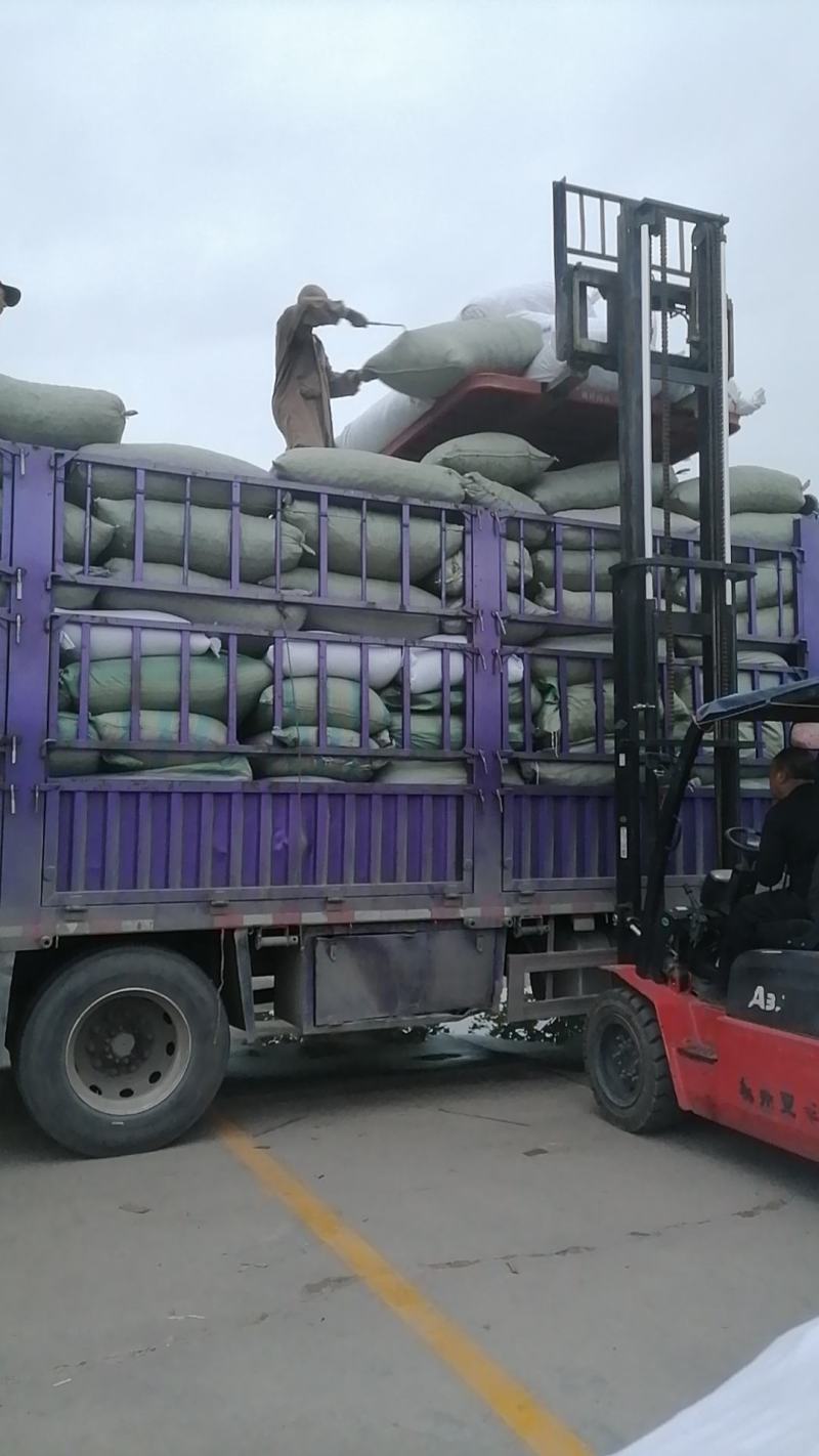 紫苑小辫还魂鲜货干货