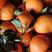 四川果冻橙爱媛橙对接电商社区团购市场产地直供量大从优