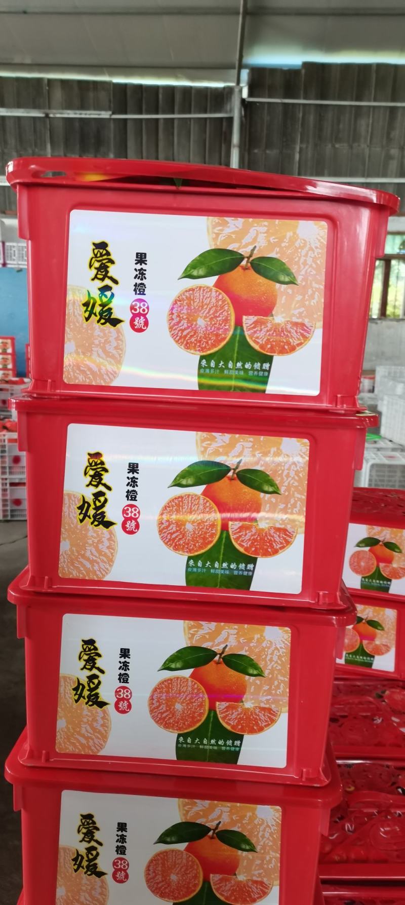 四川果冻橙爱媛橙对接电商社区团购市场产地直供量大从优