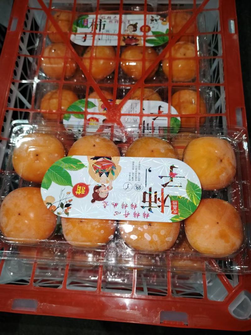 吊红柿子