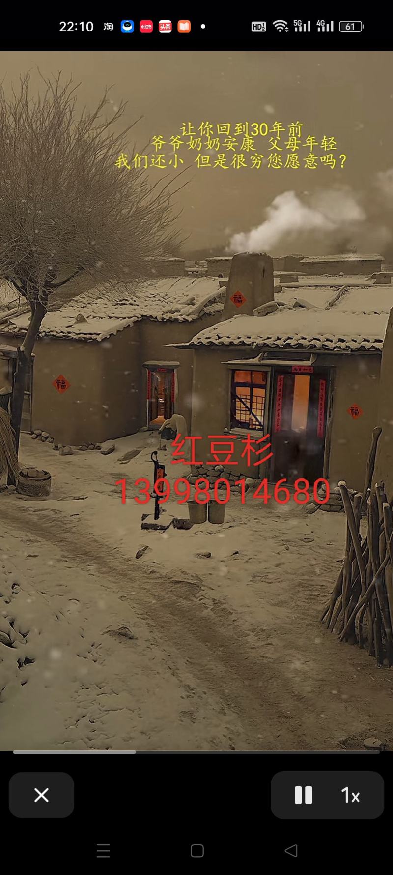 红豆杉果子