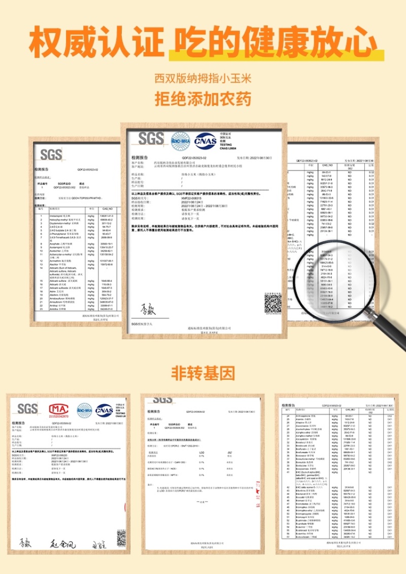西双版纳拇指小玉米，珍珠玉米，真空包装产地直发