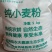 农夫嘉源纯小麦粉