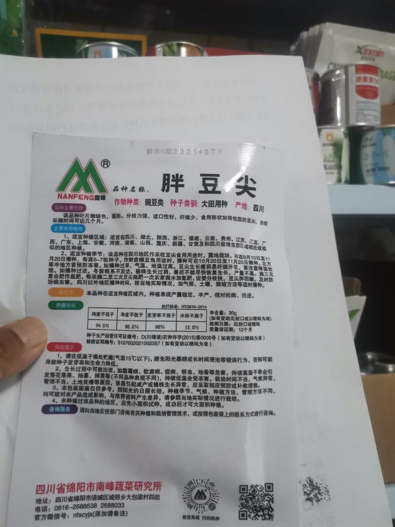 胖豆尖豌豆苗种子秋冬种豌豆尖种子1斤装超好吃豌豆种子