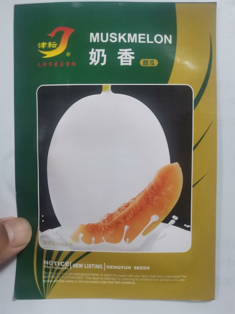 超甜白沙糖甜瓜种子超甜早熟香瓜种籽白沙蜜甜瓜种甜瓜种子