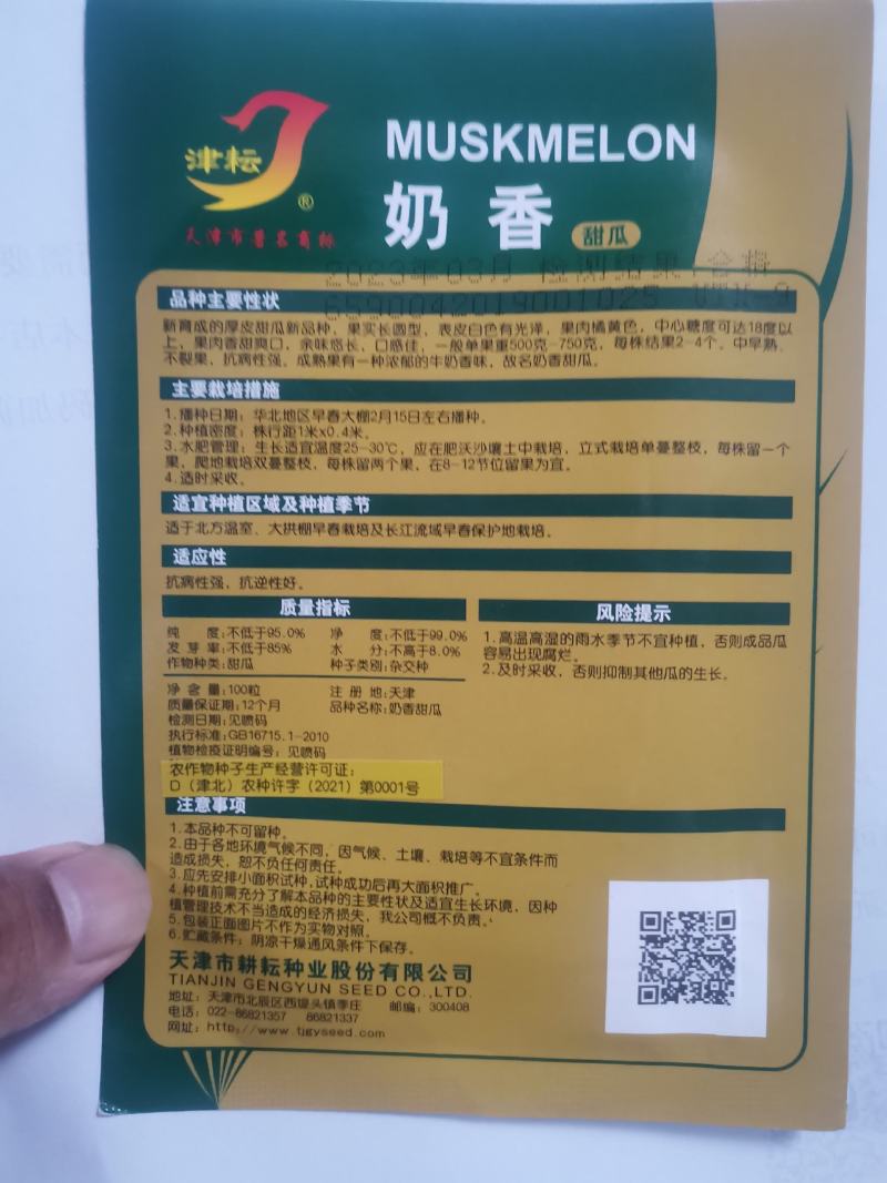 超甜白沙糖甜瓜种子超甜早熟香瓜种籽白沙蜜甜瓜种甜瓜种子