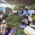 广东白糖罂荔枝妃子笑荔枝产地大量货供应电商超市质量保证