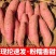 西瓜红红薯大量现货现挖现发量大从优欢迎咨询