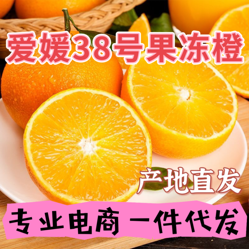 四川爱媛果冻橙承接电商直播一件代发市场批发整车代发