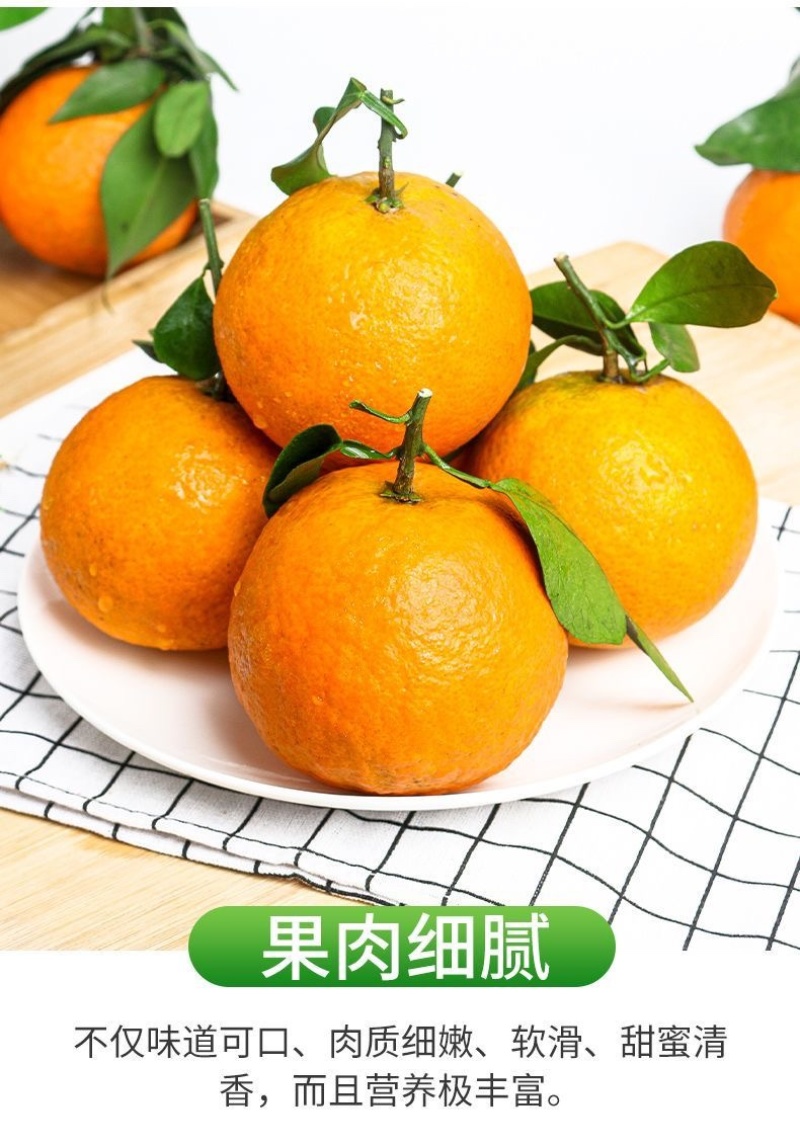 四川爱媛果冻橙承接电商直播一件代发市场批发整车代发