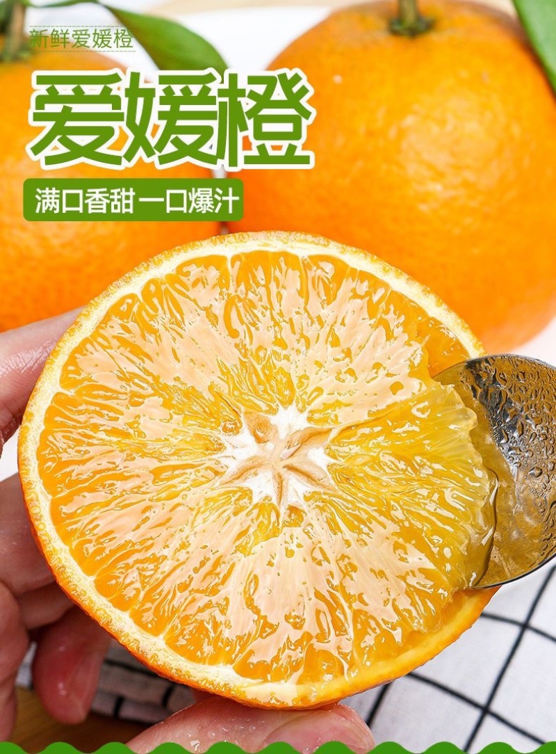 四川爱媛果冻橙承接电商直播一件代发市场批发整车代发