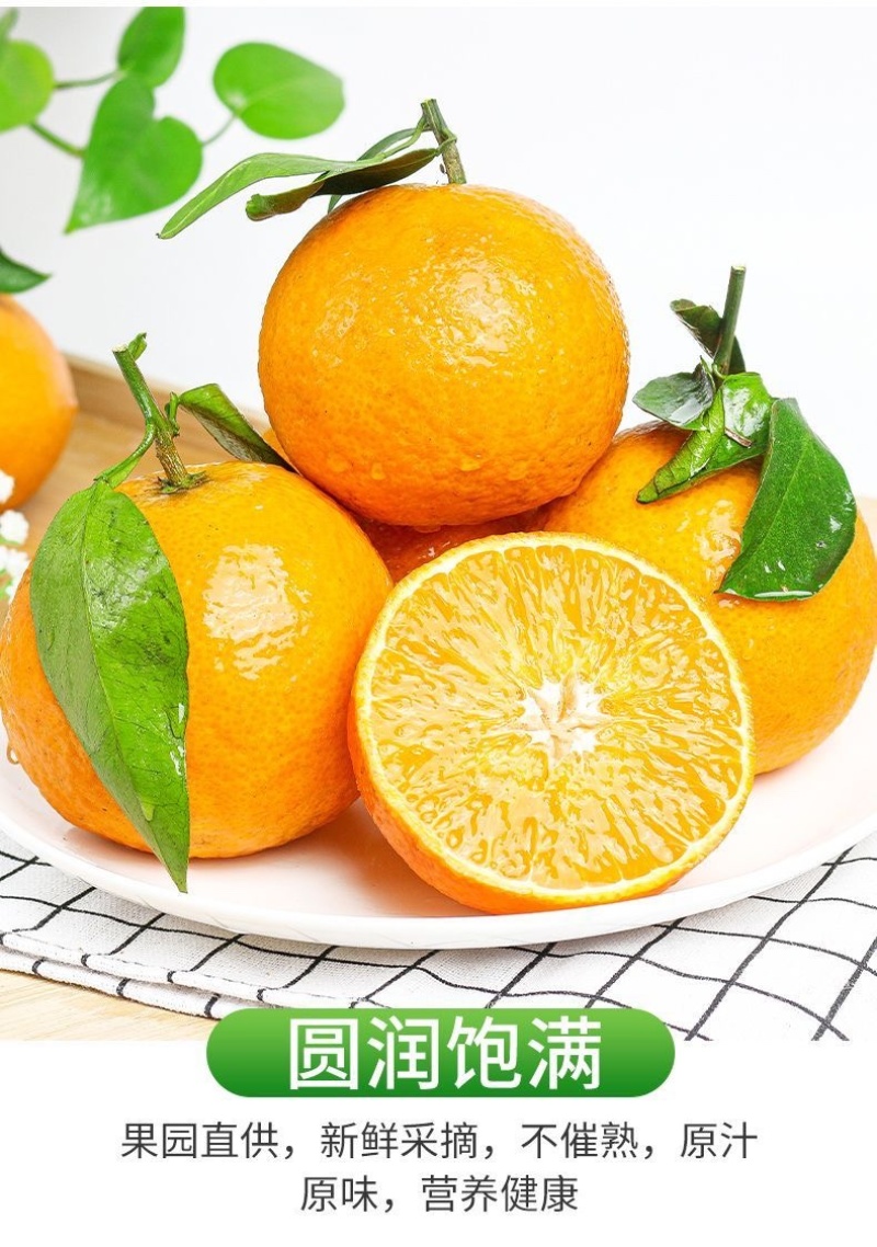 四川爱媛果冻橙承接电商直播一件代发市场批发整车代发