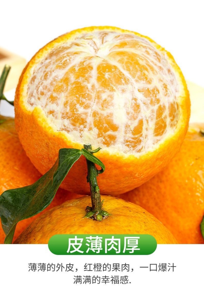 四川爱媛果冻橙承接电商直播一件代发市场批发整车代发