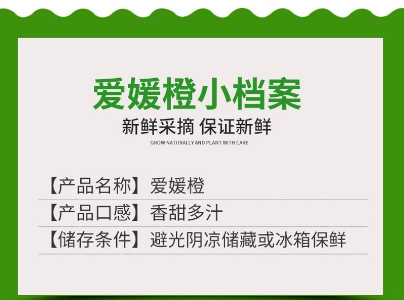 四川爱媛果冻橙承接电商直播一件代发市场批发整车代发