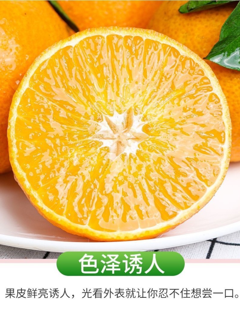 四川爱媛果冻橙承接电商直播一件代发市场批发整车代发