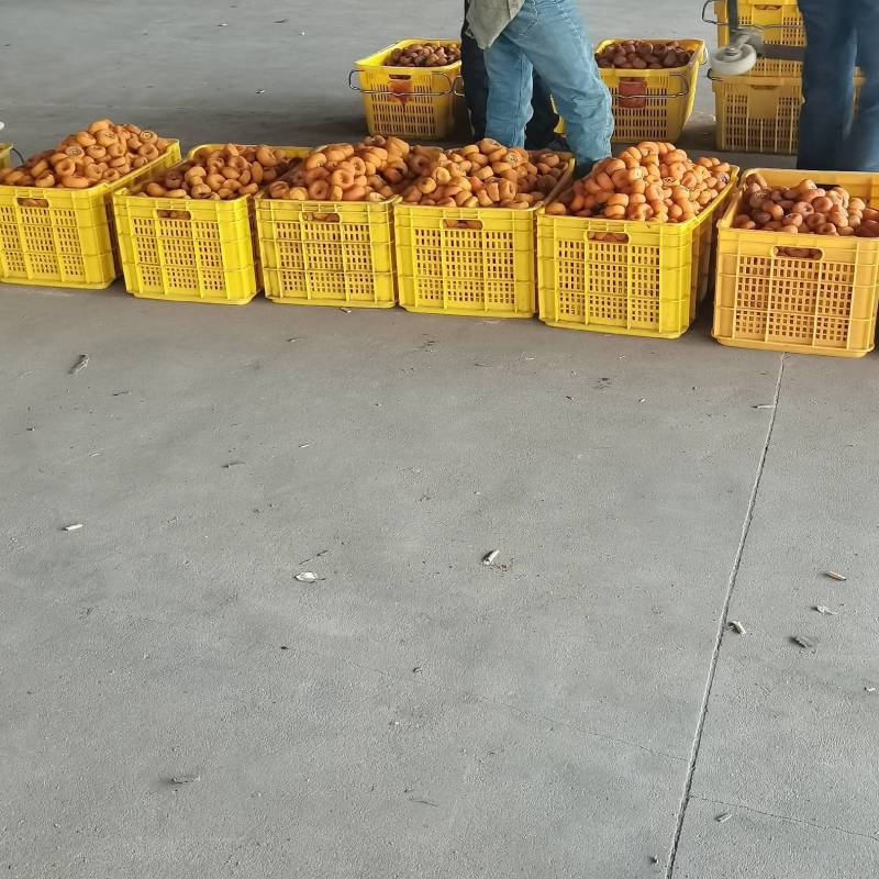 广西桂林恭城电商（团购）柿饼急售