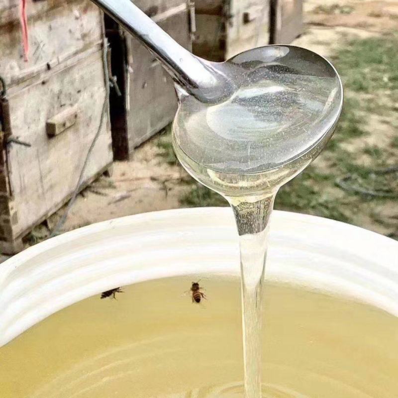 河南槐花蜂蜜花蜜大量供应自家酿造保质保量量大价优欢迎电联