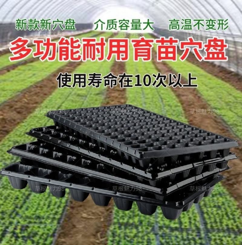 【厂家直发】育苗穴盘保证质量规格齐全量大从优