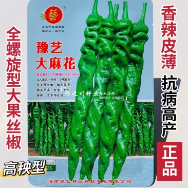 高秧螺丝椒种子真正的大陇椒豫艺大麻花螺丝椒种子全螺型